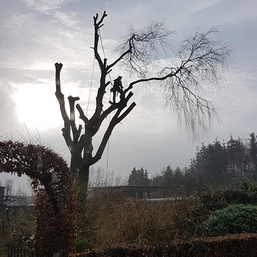 man in boom Groenland