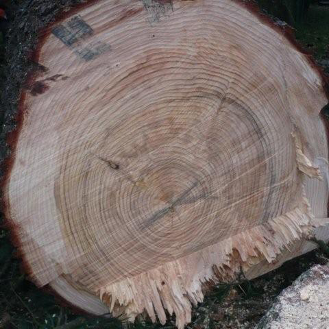 houtblok Groenland