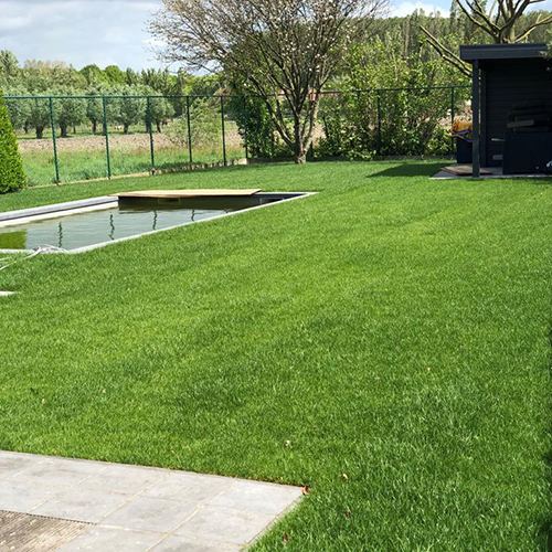 zeer groene gazon Groenland