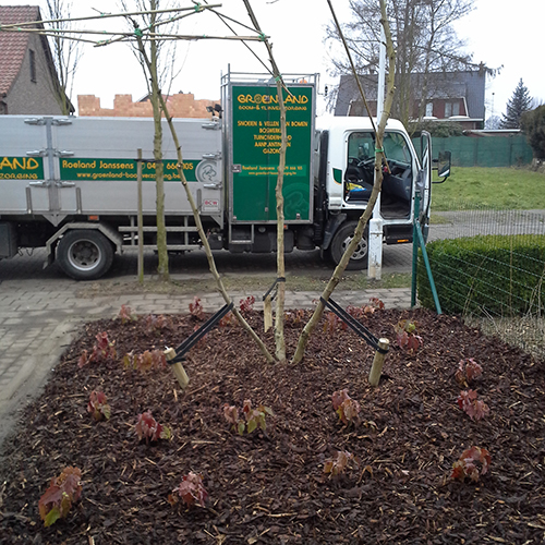voortuin Groenland