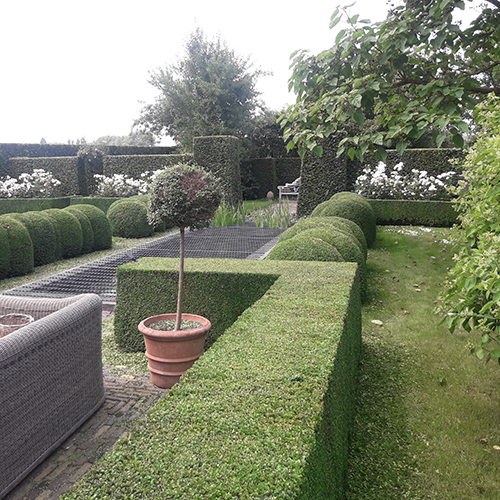 geknipte haag Groenland