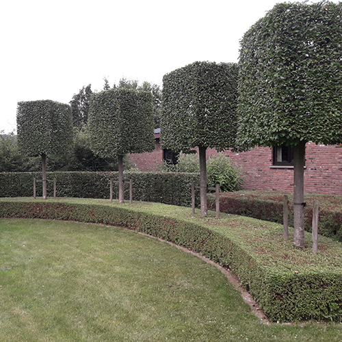 haag Groenland